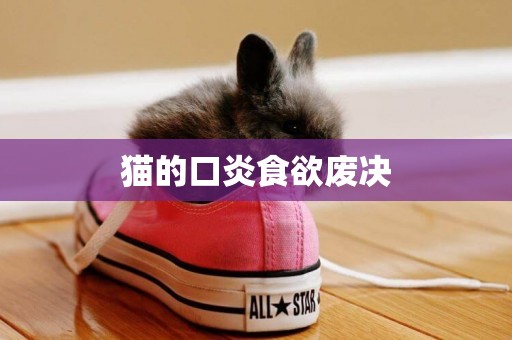 貓的口炎食欲廢決