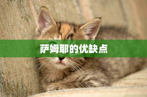 薩姆耶的優缺點