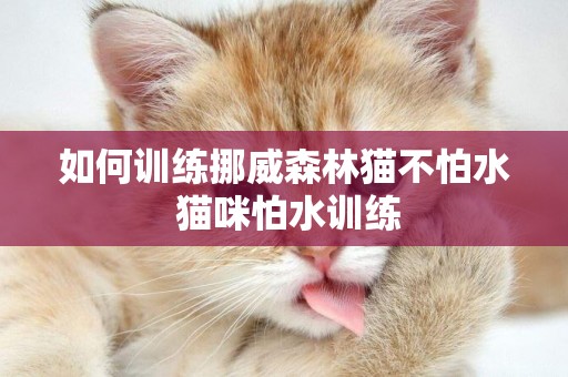 如何訓練挪威森林貓不怕水 貓咪怕水訓練