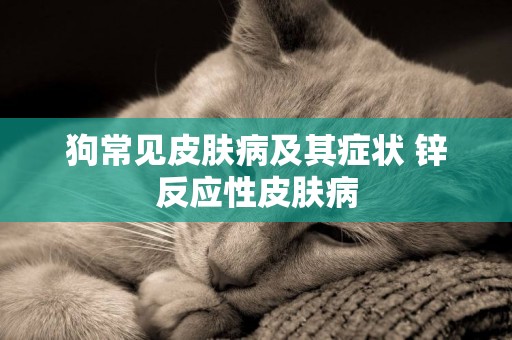 狗常見皮膚病及其癥狀 鋅反應性皮膚病