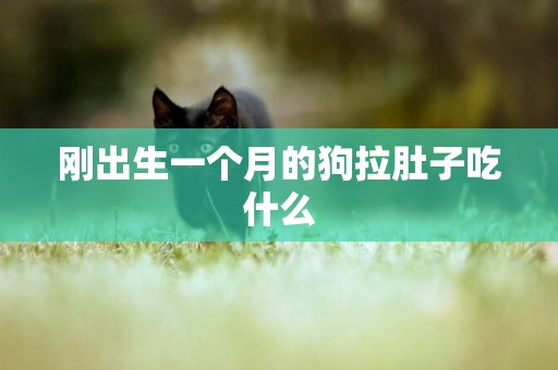 剛出生一個月的狗拉肚子吃什么
