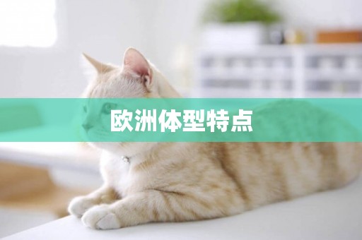 歐洲體型特點