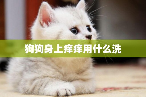狗狗身上癢癢用什么洗