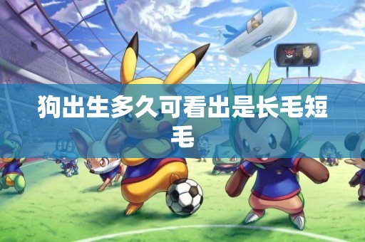 狗出生多久可看出是長毛短毛