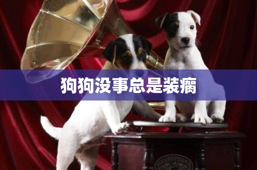 狗狗沒事總是裝瘸