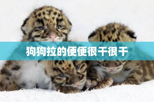 狗狗拉的便便很干很干