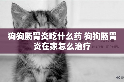 狗狗腸胃炎吃什么藥 狗狗腸胃炎在家怎么治療