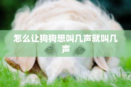 怎么讓狗狗想叫幾聲就叫幾聲