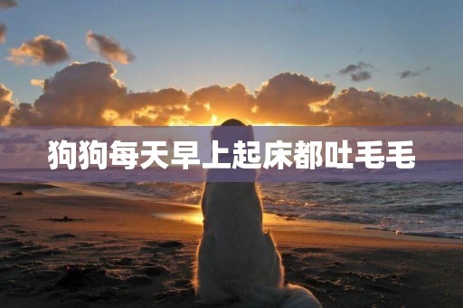 狗狗每天早上起床都吐毛毛
