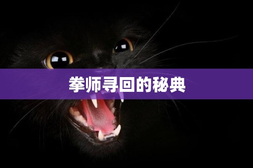 拳師尋回的秘典