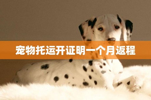 寵物托運開證明一個月返程