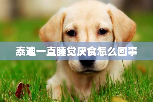 泰迪一直睡覺厭食怎么回事