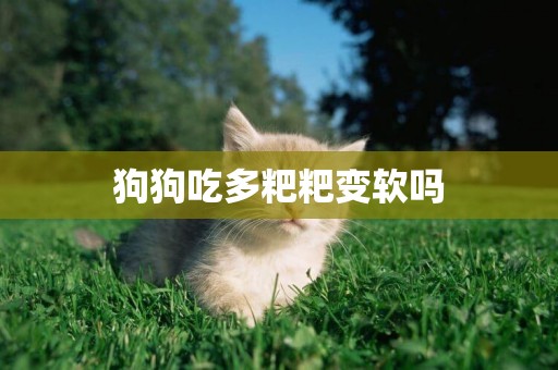狗狗吃多粑粑變軟嗎