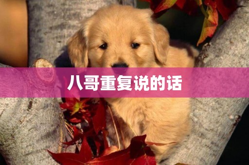 八哥重復說的話