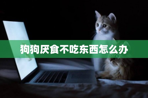 狗狗厭食不吃東西怎么辦