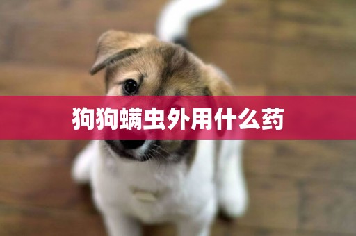 狗狗螨蟲外用什么藥