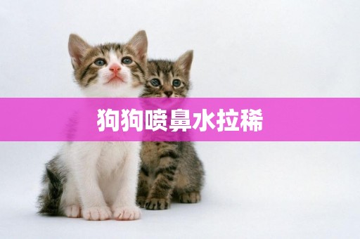 狗狗噴鼻水拉稀