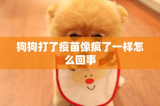 狗狗打了疫苗像瘋了一樣怎么回事