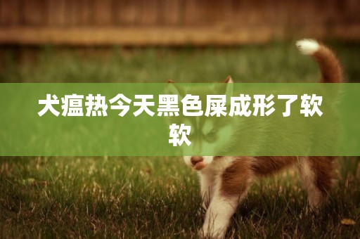 犬瘟熱今天黑色屎成形了軟軟