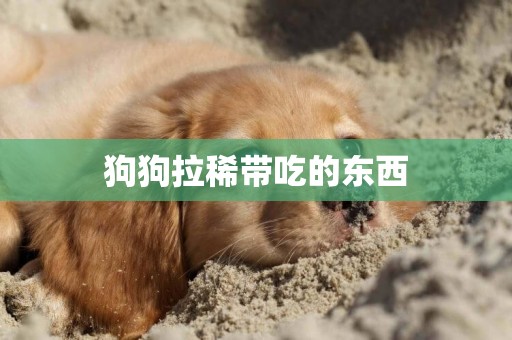 狗狗拉稀帶吃的東西
