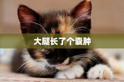 大腿長了個囊腫