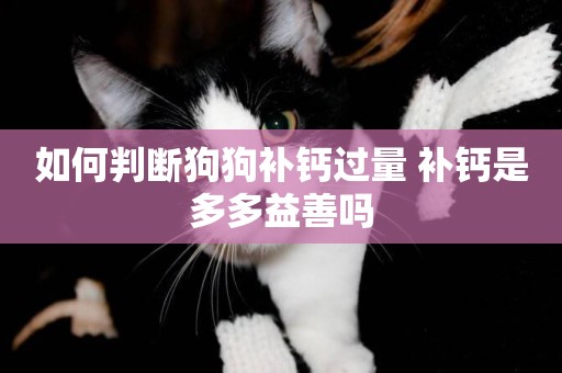 如何判斷狗狗補鈣過量 補鈣是多多益善嗎