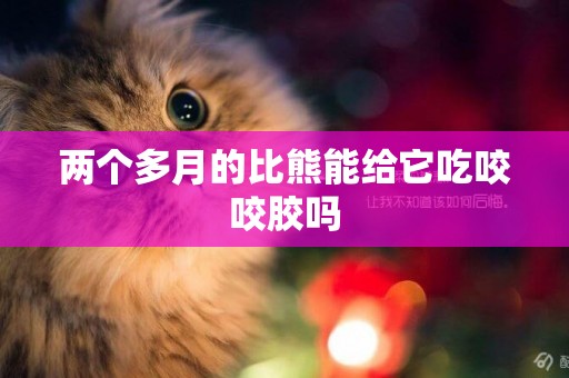 兩個多月的比熊能給它吃咬咬膠嗎