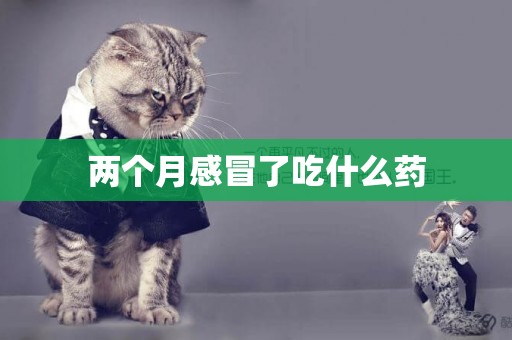 兩個月感冒了吃什么藥