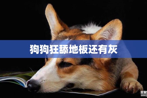 狗狗狂舔地板還有灰