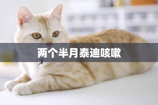 兩個半月泰迪咳嗽