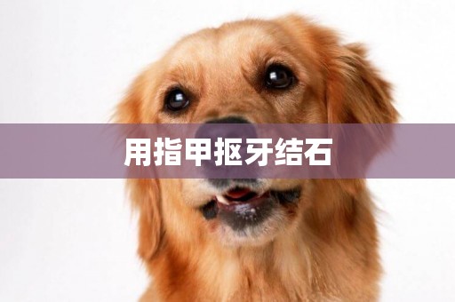 用指甲摳牙結石