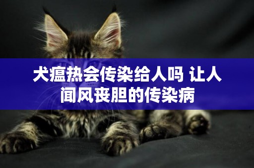 犬瘟熱會傳染給人嗎 讓人聞風喪膽的傳染病