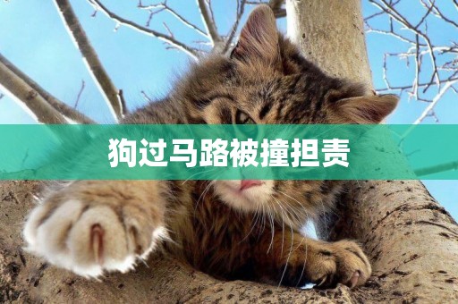 狗過馬路被撞擔責