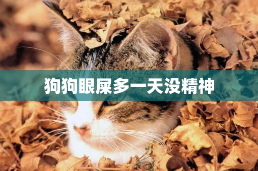 狗狗眼屎多一天沒精神