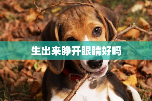 生出來睜開眼睛好嗎