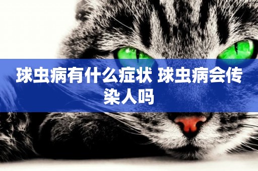 球蟲病有什么癥狀 球蟲病會傳染人嗎
