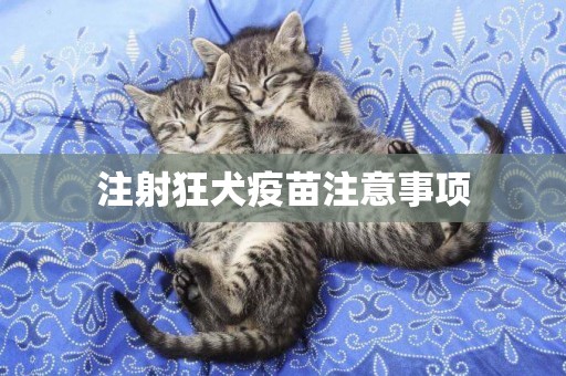 注射狂犬疫苗注意事項