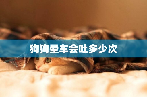 狗狗暈車會吐多少次