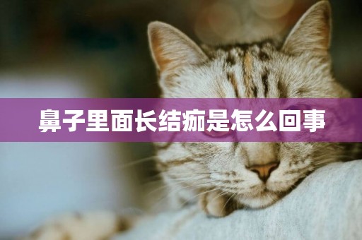 鼻子里面長結痂是怎么回事
