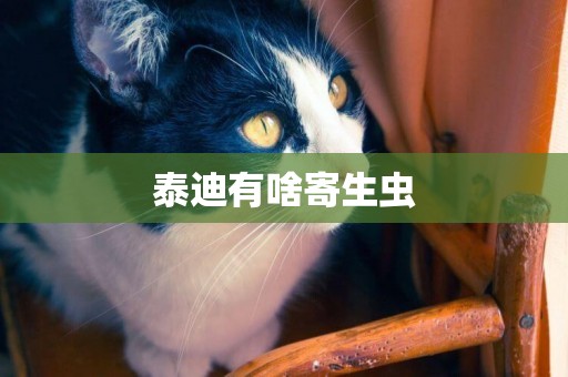 泰迪有啥寄生蟲