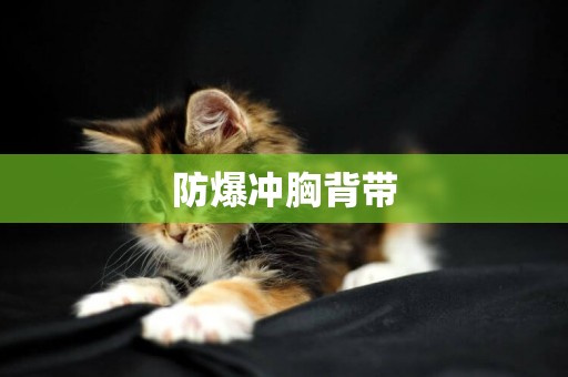 防爆沖胸背帶