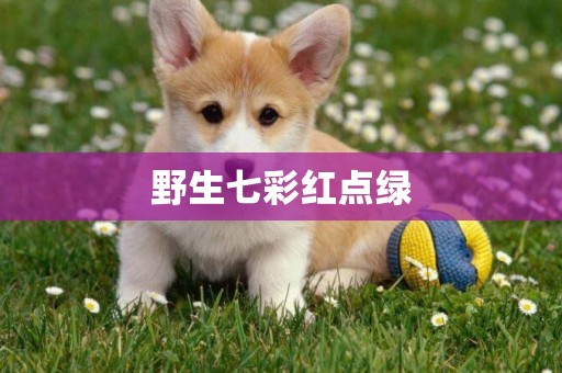 野生七彩紅點綠