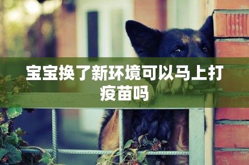 寶寶換了新環境可以馬上打疫苗嗎