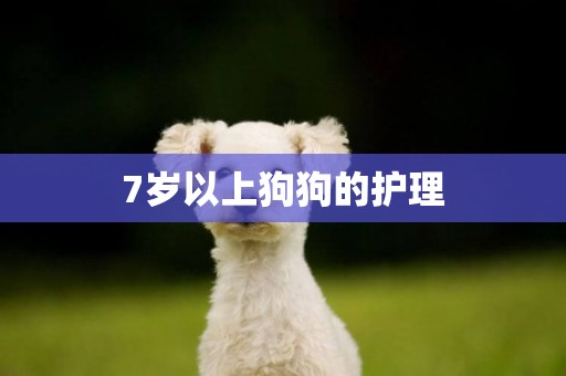 7歲以上狗狗的護理