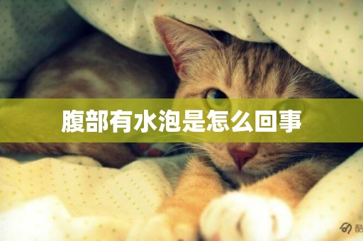 腹部有水泡是怎么回事