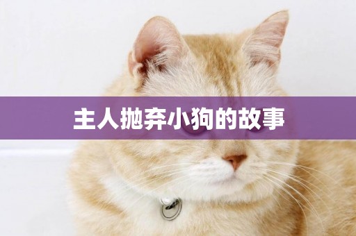 主人拋棄小狗的故事