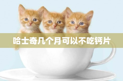哈士奇幾個月可以不吃鈣片