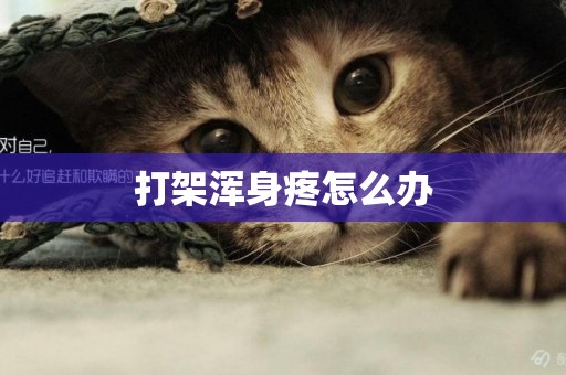 打架渾身疼怎么辦