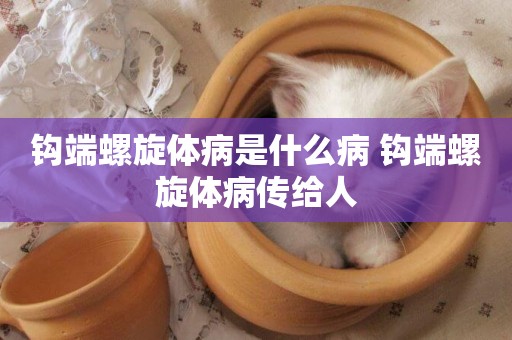 鉤端螺旋體病是什么病 鉤端螺旋體病傳給人