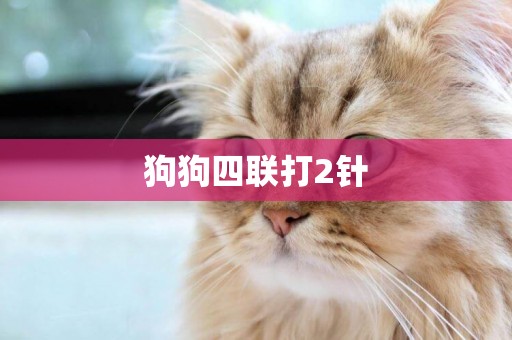 狗狗四聯打2針